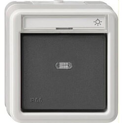 Gira Wipptaster 015631 Wechsler WD AP grau