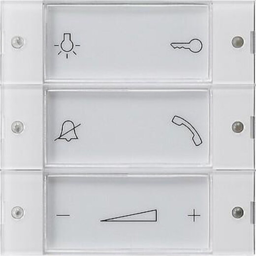 Gira Taster 850003 Wohnungsstation System 55 klar