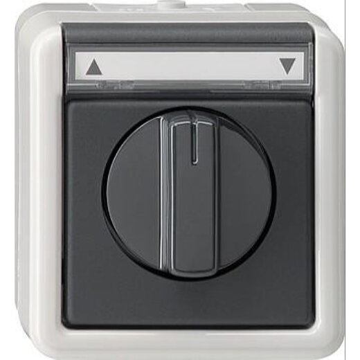 Gira Jalousieschalter 015430 1polig AP WG grau