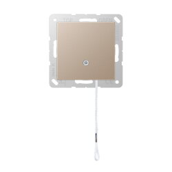 Jung Zug-Wechselschalter, Serie A, champagner A506BFNUZCH