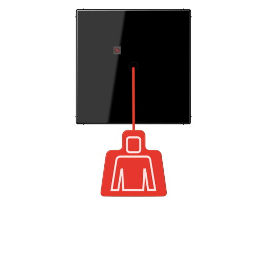 Jung Notrufsystem Zugtaster, Serie LS, schwarz NRSLS0834ZTSW