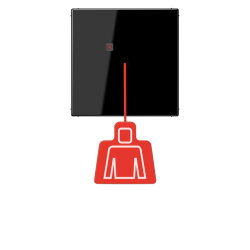 Jung Notrufsystem Zugtaster, Serie LS, schwarz NRSLS0834ZTSW