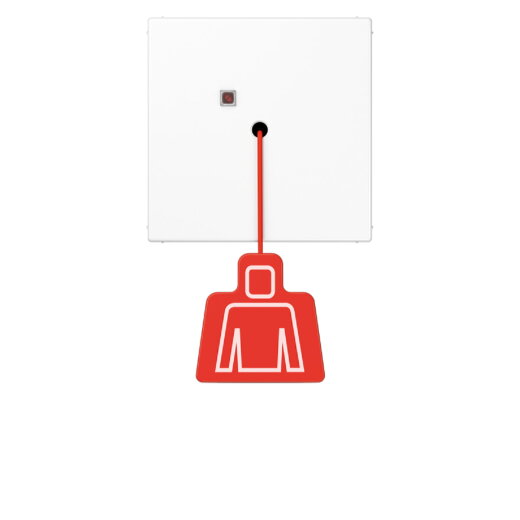 Jung Notrufsystem Zugtaster, Serie LS, alpinweiß NRSLS0834ZTWW