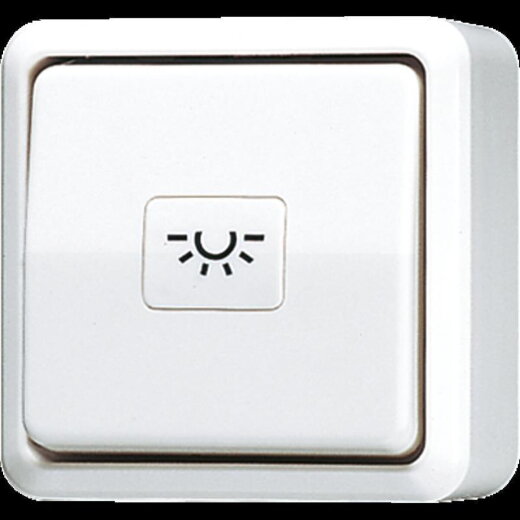 Jung Taster, 1-pol. Wechsler mit N-Klemme, 10 A 250 V ~, AP 600, alpinweiß 633AWW