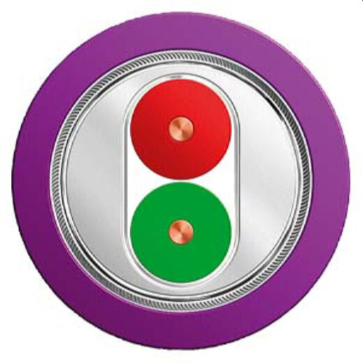 Siemens Standard Busleitung 2adrig geschirmt 100m 6XV1830-0ET10