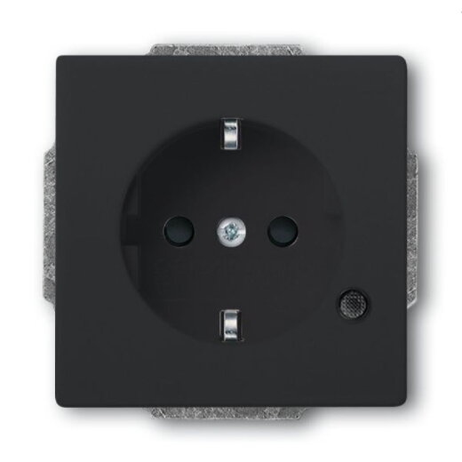 Busch-Jaeger Steckdoseneinsatz SCHUKO 20 EUCBL-81