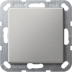 Gira Blindabdeckung 0268600 Tragring System 55 Edelstahl...