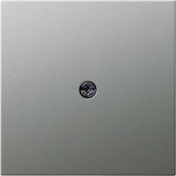 Gira Abdeckung 0274600 Schnurableit. VDo 55 Edelstahl...