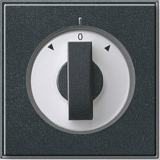 Gira Abdeckung 066667 Knebel Jalousie TX_44 (WG UP) Ant