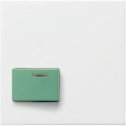 Gira Abdeckung 024603 Ack 73642C System 55 reinweiss