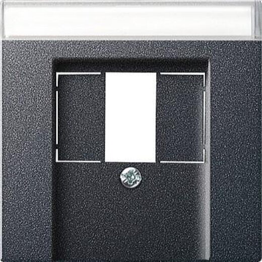 Gira Abdeckung 087628 BSF TAE Stereo USB System 55 ant