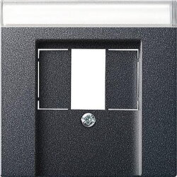 Gira Abdeckung 087628 BSF TAE Stereo USB System 55 ant