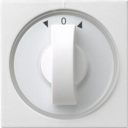 Gira Abdeckung 066627 Knebel Zeit+Jalousie System55 rwm