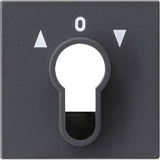 Gira Abdeckung 066428 Schluesselschalter System 55 ant