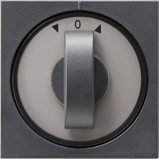 Gira Abdeckung 066628 Knebel Zeit+Jalousie System55 Ant