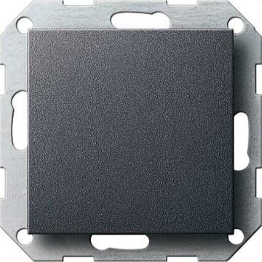 Gira Blindabdeckung 026828 + Tragring System 55 anthrazit