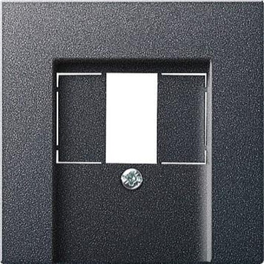 Gira Abdeckung 027628 TAE Stereo USB System 55 ant