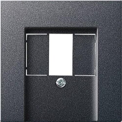 Gira Abdeckung 027628 TAE Stereo USB System 55 ant