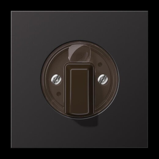 Jung Abdeckung für Drehschalter, Aluminium lackiert, Serie LS, dark (lackiertes Aluminium) AL1941D