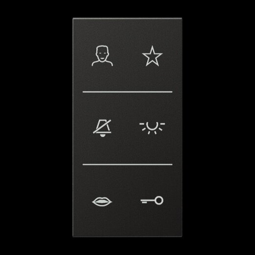 Jung Design-Cover Video, F50, Serie LS, anthrazit SIV6ALDCAN