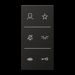 Jung Design-Cover Video, F50, Serie LS, anthrazit SIV6ALDCAN