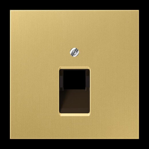 Jung Abdeckung für IAE/UAE-Anschlussdosen 1 x 8-polig, Messing, Serie LS, Messing classic ME2969-1UAC