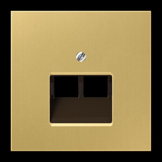 Jung Abdeckung für IAE/UAE-Anschlussdosen 2 x 8-polig, Messing, Serie LS, Messing classic ME2969-2UAC