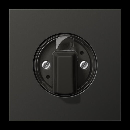 Jung Abdeckung für Drehschalter, Aluminium lackiert, Serie LS, anthrazit (lackiertes Aluminium) AL1941AN