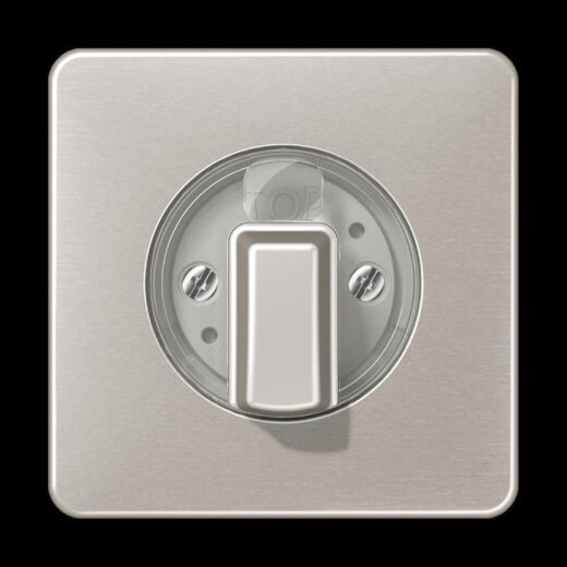 Jung Abdeckung für Drehschalter, Aluminium eloxiert, Serie CD, platin CD1541PT