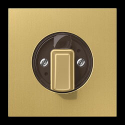 Jung Abdeckung für Drehschalter, Messing, Serie LS,...