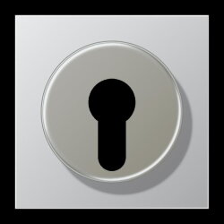 Jung Abdeckung für Schlüsselschalter mit...