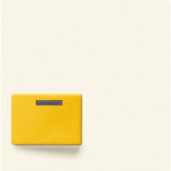 Jung Abdeckung für Ackermann, Typ 73642 D, gelb,...