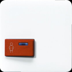 Jung Abdeckung für Ackermann, Typ 73022 A 2, rot,...