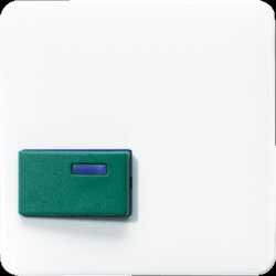 Jung Abdeckung für Ackermann, Typ 73642 C,...