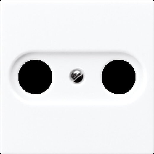 Jung Abdeckung für Antennendosen, Thermoplast, Serie AS/A, alpinweiß A561BFPLTVWW