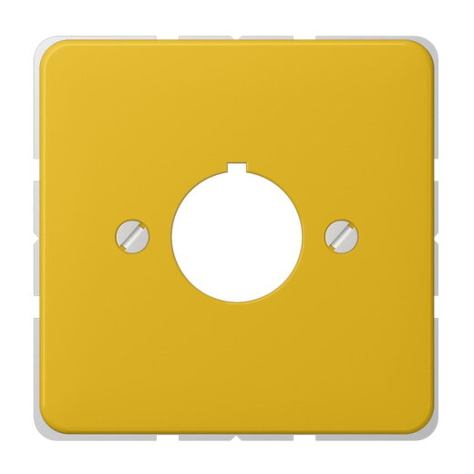 Jung Abdeckung für Befehlsgeräte mit 22,5 mm ?, Duroplast, Serie CD, gelb 564GE