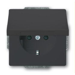 Busch-Jaeger Steckdoseneinsatz 20 EUKBR-81, anthrazit