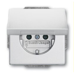 Busch-Jaeger Steckdoseneinsatz 20 EUKBR-83, aluminiumsilber