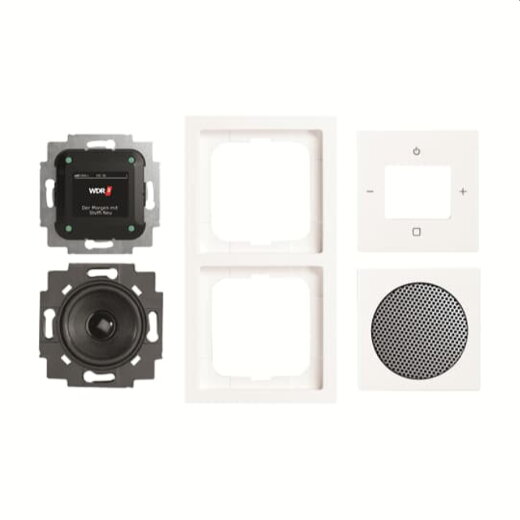 Busch-Jaeger Radio 8270 UJ-84-101 BTconnect DAB+ Kompletts