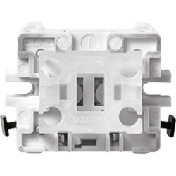 Jung Taster, 1-pol. Schließer, A 250 V ~,...