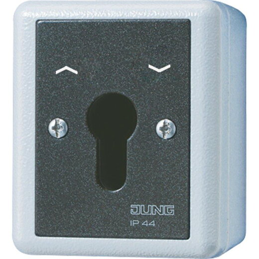 Jung Schlüsselschalter Einsatz, Alu-Druckguss, Jalousie-Wendetaster, 2-pol. (2 Antriebe), WG 800 834.28GEINS