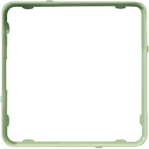 Jung Applikations-Rahmen, CD PLUS, mint-grün CDP81MINT