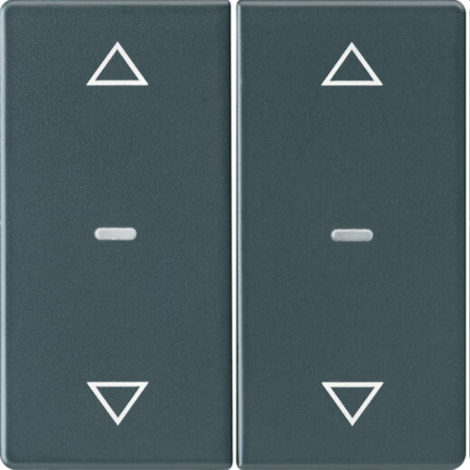 Berker Abdeckung f. Tastensen.-Modul 2fach Q.x anthrazit 80961326
