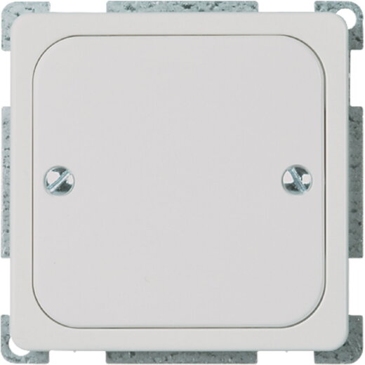 ELSO Blindabdeckung 503054 geschraubt 1f. RENOVIERUNG rw