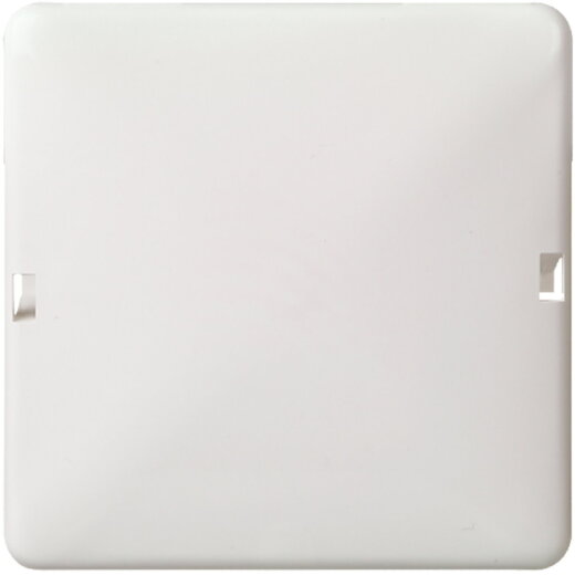 ELSO Blindabdeckung 503034 2f. 80x122 RENOVIERUNG reinweiß