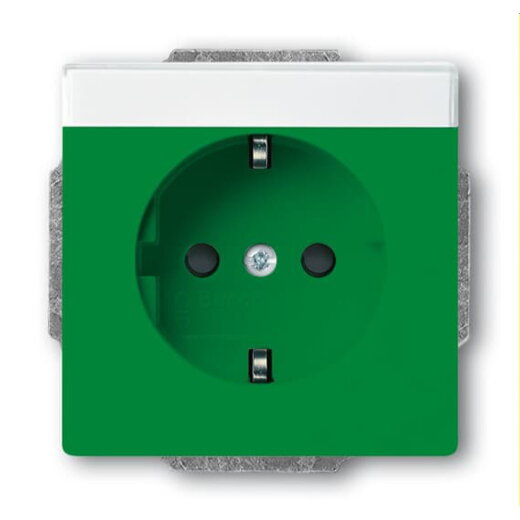 Busch-Jaeger Steckdoseneinsatz SCHUKO 20 EUCNB-13-82, grün