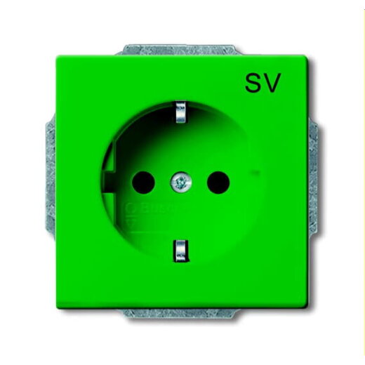 Busch-Jaeger Steckdoseneinsatz 20 EUC-13-82-101, grün