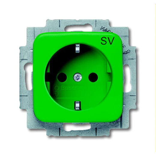 Busch-Jaeger Steckdoseneinsatz SCHUKO 20EUCKS-13-212-102, grün