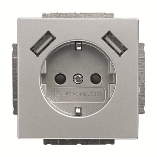 Busch-Jaeger Doppelsteckdose SCHUKO 20 EUCB2USB-866 2x USB stainless steel