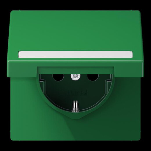 Jung SCHUKO Steckdose, 16 A 250 V ~, mit Schriftfeld, Thermoplast, Serie LS, grün (für SV) LS1520BFNAKLGN